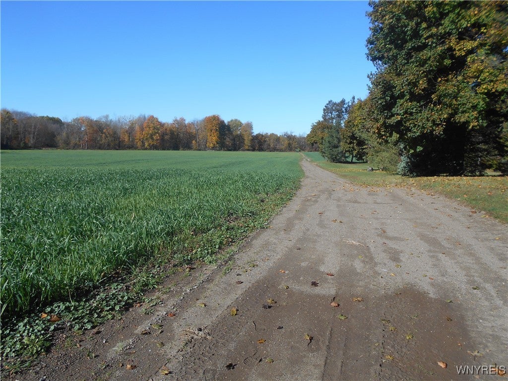 Gowanda State Road