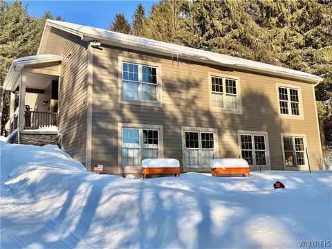 Photo of 6434 Hencoop Hollow Road, Mansfield, NY 14731 (MLS # B1661524)