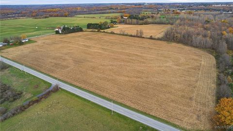 Tiny photo for V/L #2 Remsen Road, Pembroke, NY 14001 (MLS # B1650101)