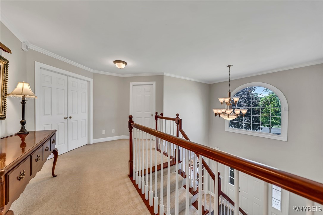 34 Hazelwood Court, Grand Island, New York image 35
