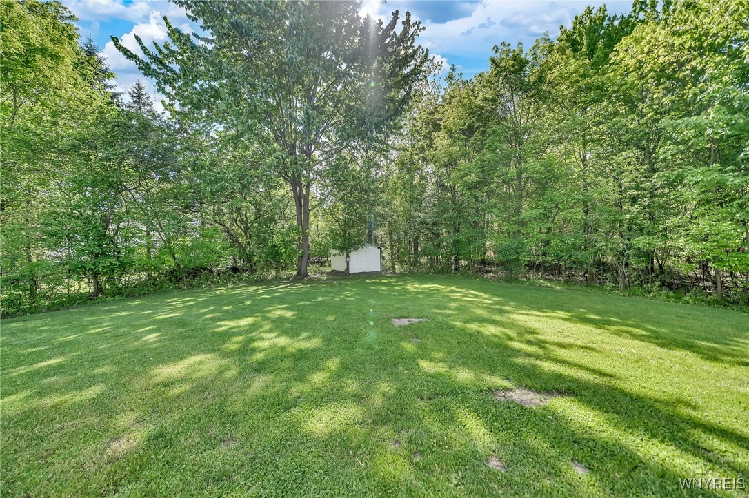 34 Hazelwood Court, Grand Island, New York image 48