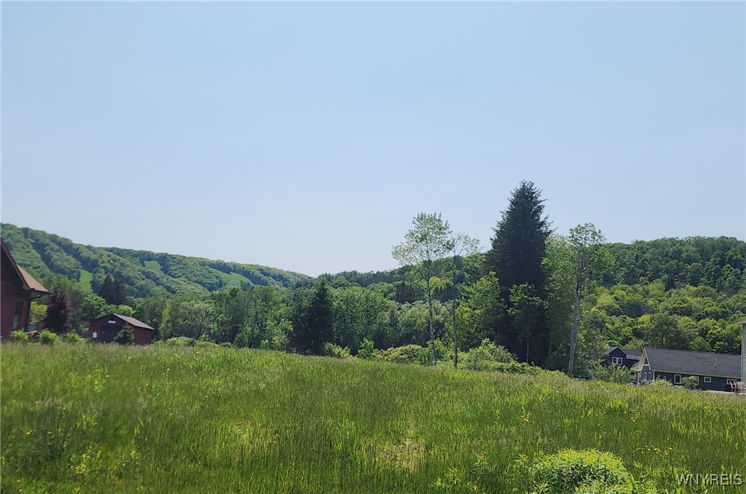 24 Fillmore Drive, Ellicottville, New York image 1