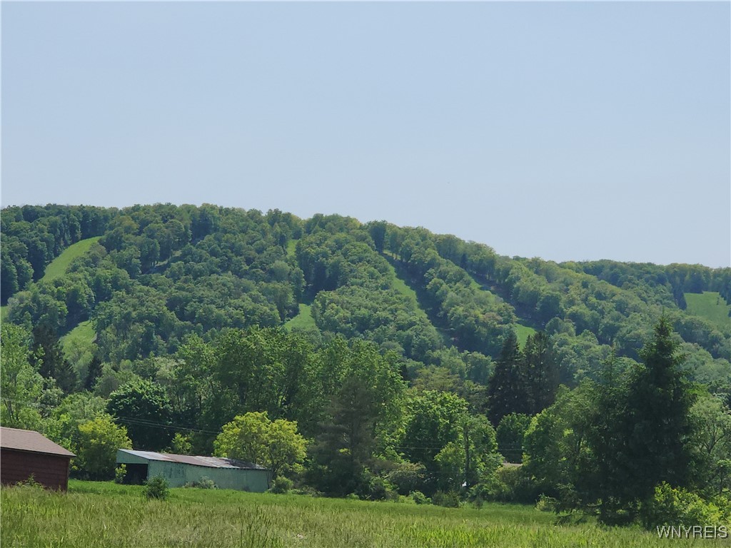24 Fillmore Drive, Ellicottville, New York image 3