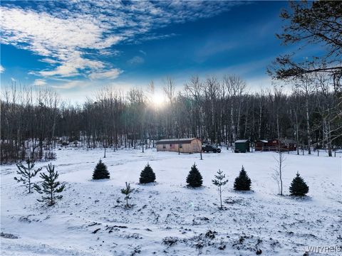 9306 Snake Run Road East Otto NY 14729