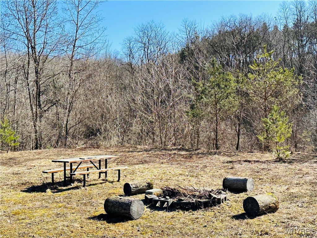 8147 Bailey Hill Road, East Otto, New York image 17