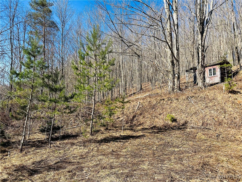 8147 Bailey Hill Road, East Otto, New York image 15