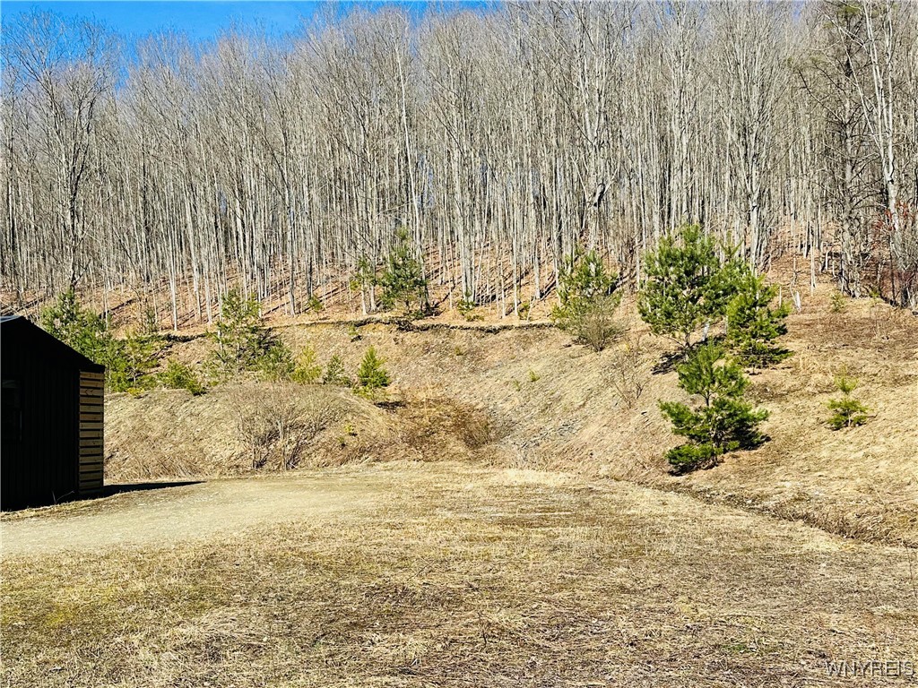 8147 Bailey Hill Road, East Otto, New York image 16