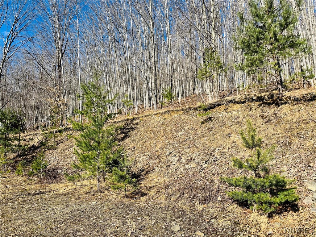 8147 Bailey Hill Road, East Otto, New York image 14