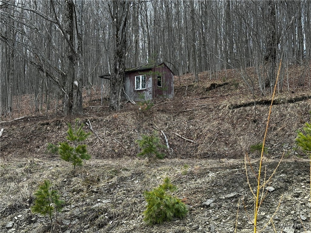 8147 Bailey Hill Road, East Otto, New York image 35