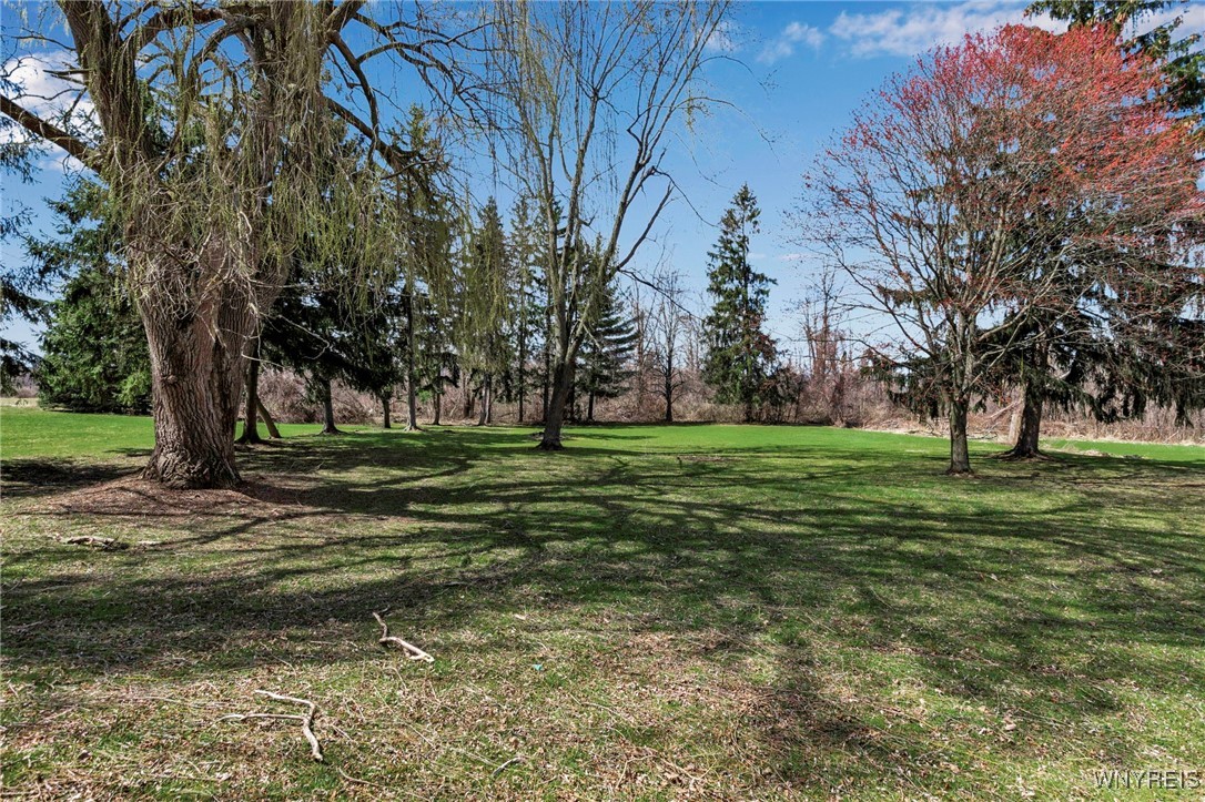 96 S Pearl Street, Oakfield, New York image 38