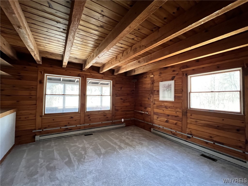 6431 Lewis Road, Hector, New York image 11