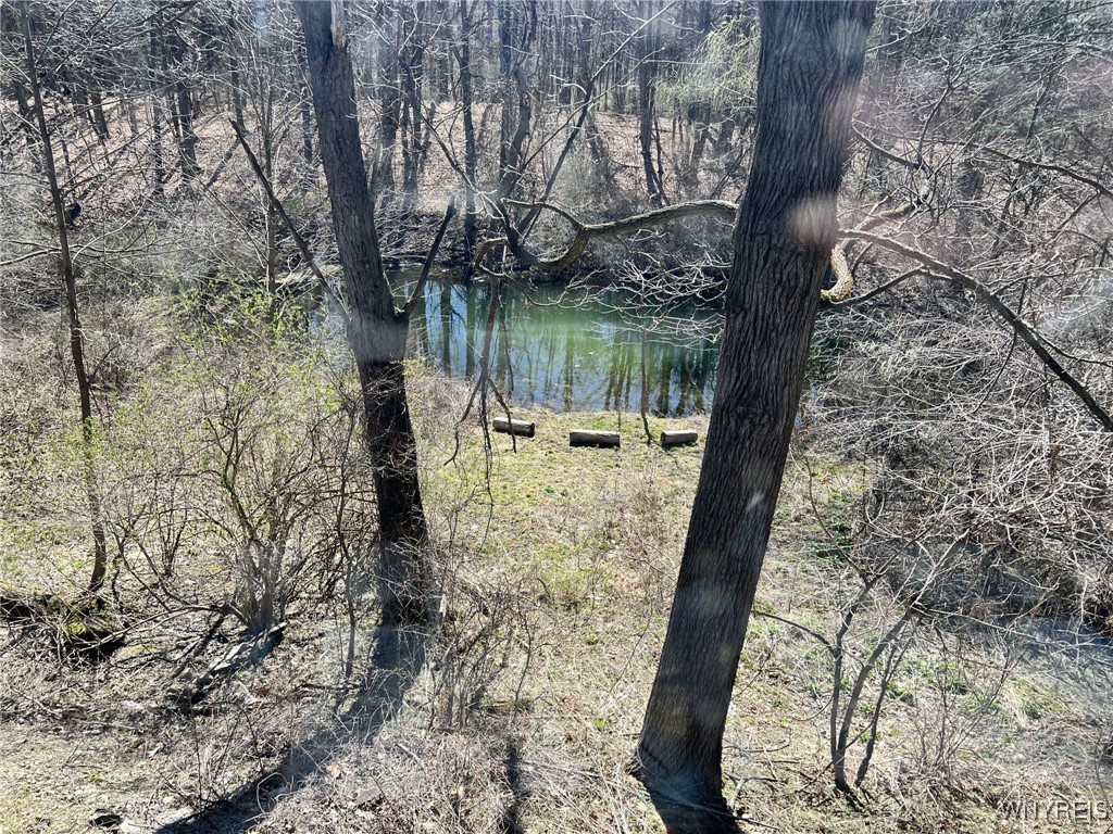 6431 Lewis Road, Hector, New York image 27