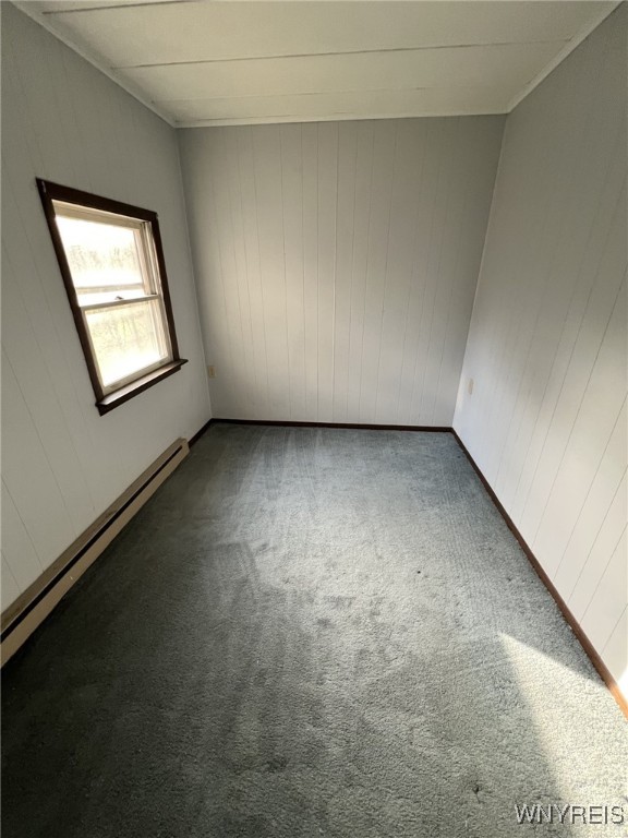 6431 Lewis Road, Hector, New York image 14