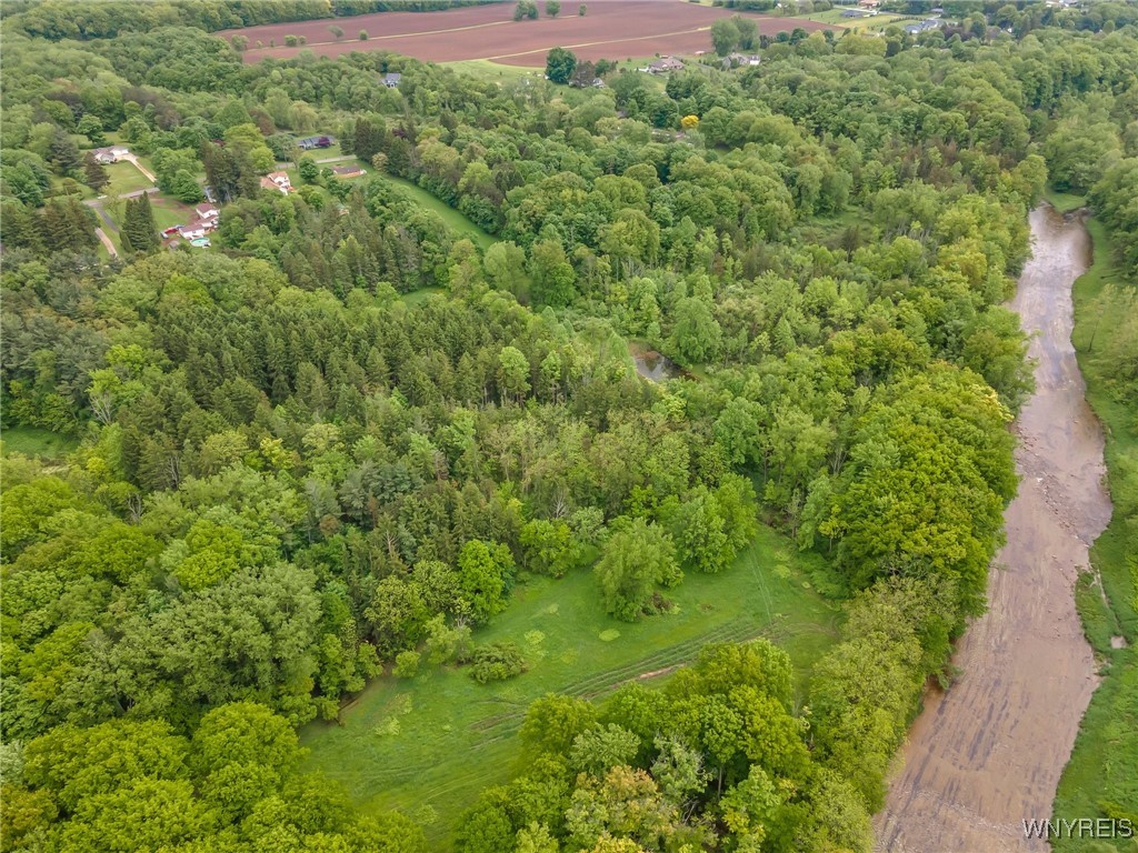 1160 Stolle Road, Elma, New York image 42