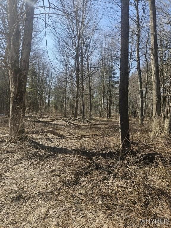9280 Gowanda State Road, Eden, New York image 14