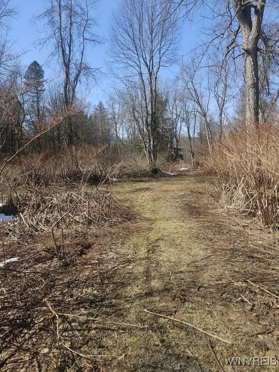 9280 Gowanda State Road, Eden, New York image 10