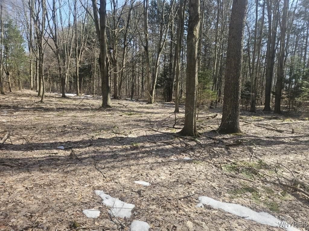 9280 Gowanda State Road, Eden, New York image 16