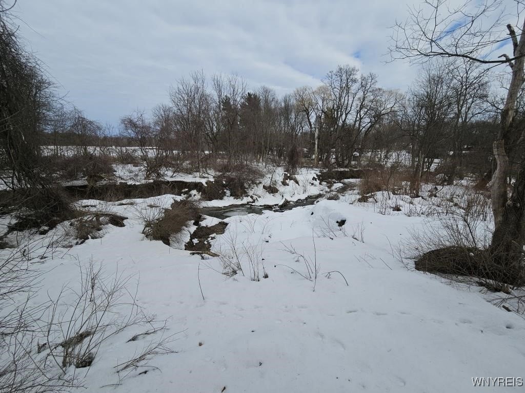 9280 Gowanda State Road, Eden, New York image 36