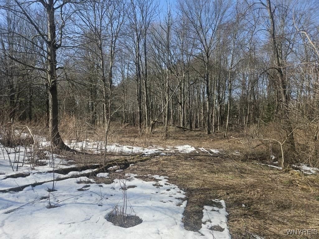 9280 Gowanda State Road, Eden, New York image 13