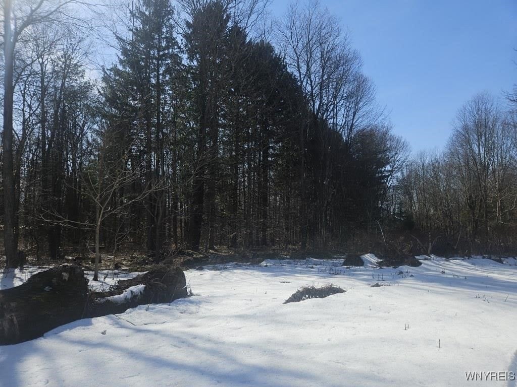 9280 Gowanda State Road, Eden, New York image 12