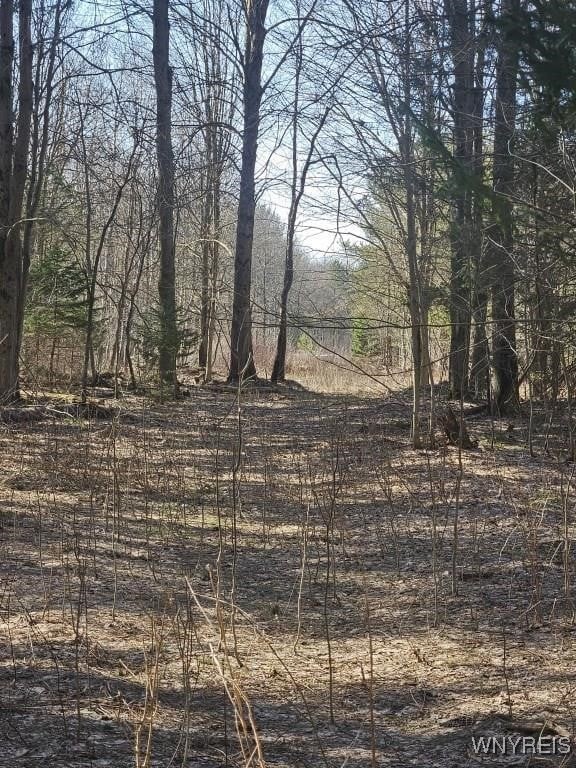 9280 Gowanda State Road, Eden, New York image 17