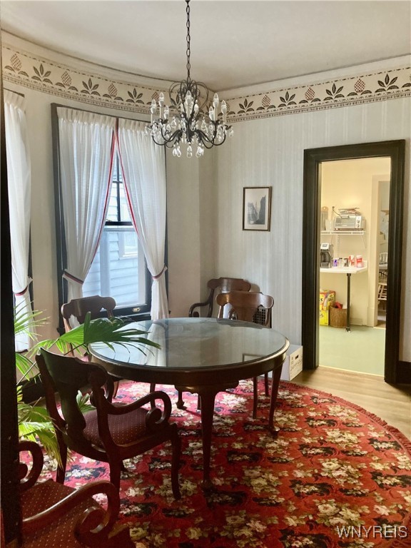 343 Elmwood Avenue, Buffalo, New York image 17