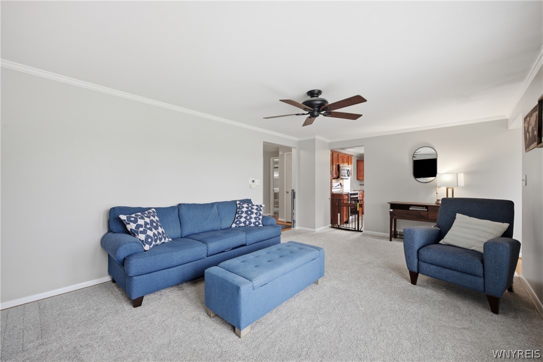 29 Siegfried Drive