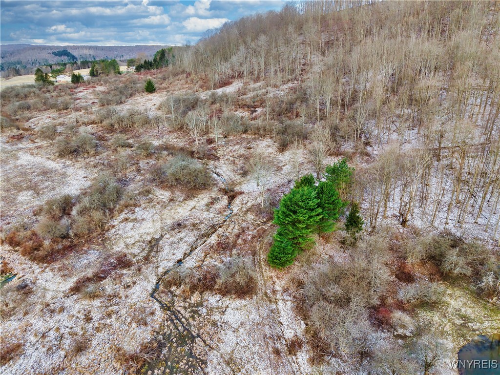 6020 Nys Rte 242 Lot #5, Ellicottville, New York image 2