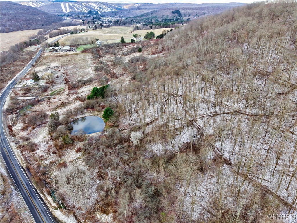 6020 Nys Rte 242 Lot #5, Ellicottville, New York image 14