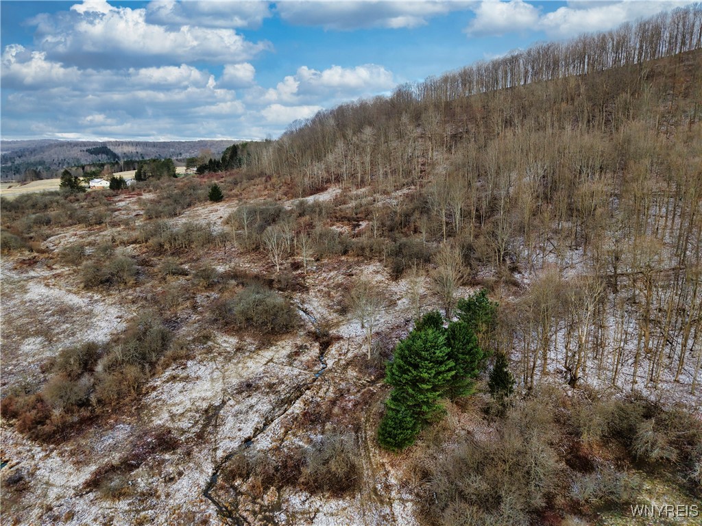 6020 Nys Rte 242 Lot #5, Ellicottville, New York image 1