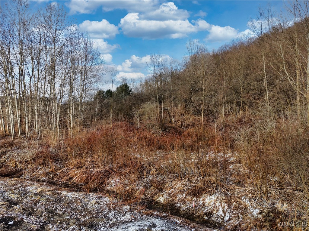 6020 Nys Rte 242 Lot #5, Ellicottville, New York image 5