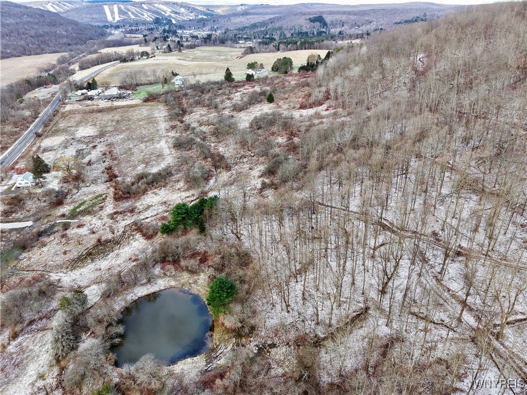 6020 Nys Rte 242 Lot #5, Ellicottville, New York image 13