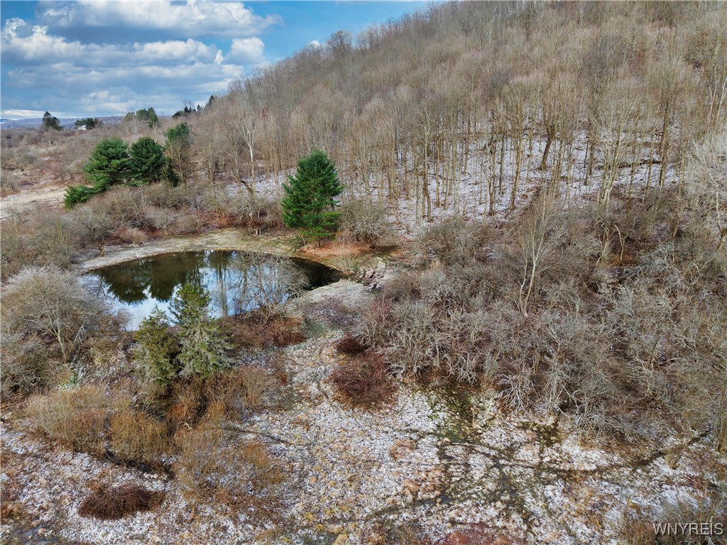 6020 Nys Rte 242 Lot #5, Ellicottville, New York image 4