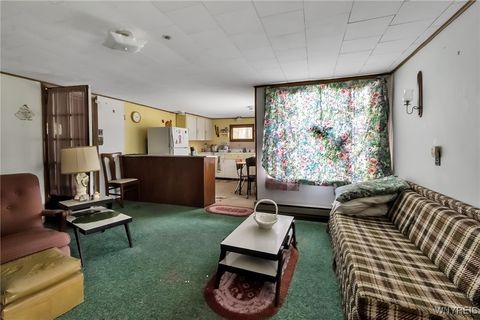 Tiny photo for 9023 State Route 21, Fremont, NY 14826 (MLS # B1654874)