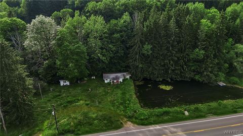 Tiny photo for 9023 State Route 21, Fremont, NY 14826 (MLS # B1654874)