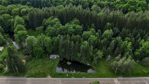 Tiny photo for 9023 State Route 21, Fremont, NY 14826 (MLS # B1654874)