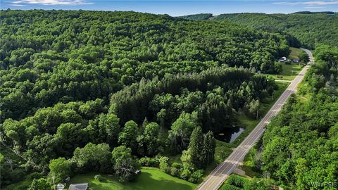 Tiny photo for 9023 State Route 21, Fremont, NY 14826 (MLS # B1654874)