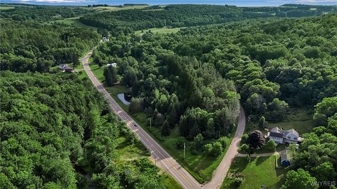 Tiny photo for 9023 State Route 21, Fremont, NY 14826 (MLS # B1654874)