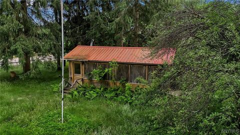 Tiny photo for 9023 State Route 21, Fremont, NY 14826 (MLS # B1654874)