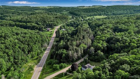 Tiny photo for 9023 State Route 21, Fremont, NY 14826 (MLS # B1654874)