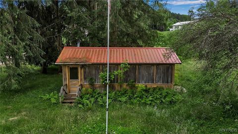 Tiny photo for 9023 State Route 21, Fremont, NY 14826 (MLS # B1654874)