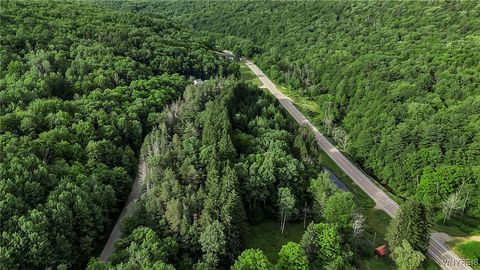 Tiny photo for 9023 State Route 21, Fremont, NY 14826 (MLS # B1654874)