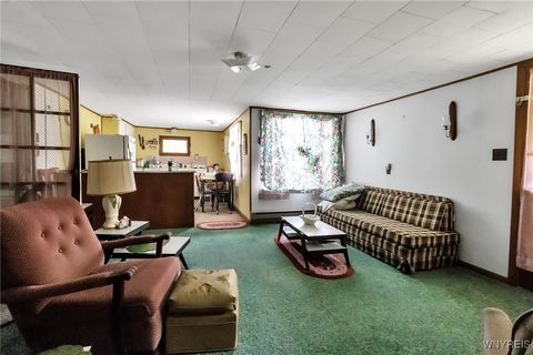 Tiny photo for 9023 State Route 21, Fremont, NY 14826 (MLS # B1654874)