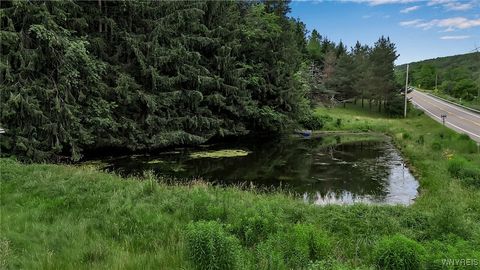 Tiny photo for 9023 State Route 21, Fremont, NY 14826 (MLS # B1654874)