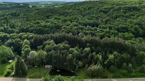 Tiny photo for 9023 State Route 21, Fremont, NY 14826 (MLS # B1654874)