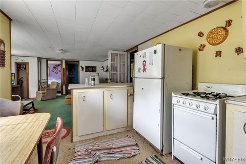 Tiny photo for 9023 State Route 21, Fremont, NY 14826 (MLS # B1654874)