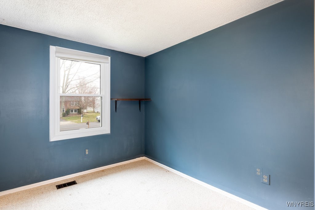 285 Tracey Lane, Grand Island, New York image 17