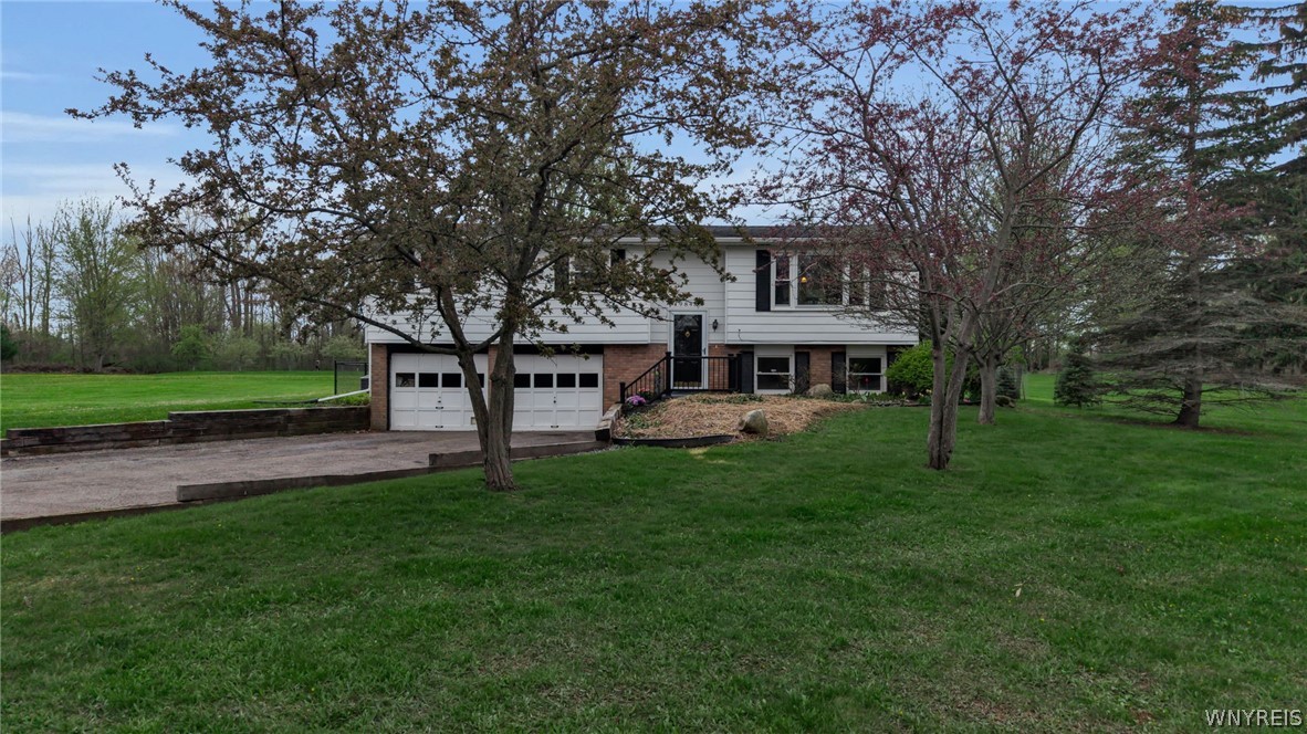 9848 Chestnut Ridge Road