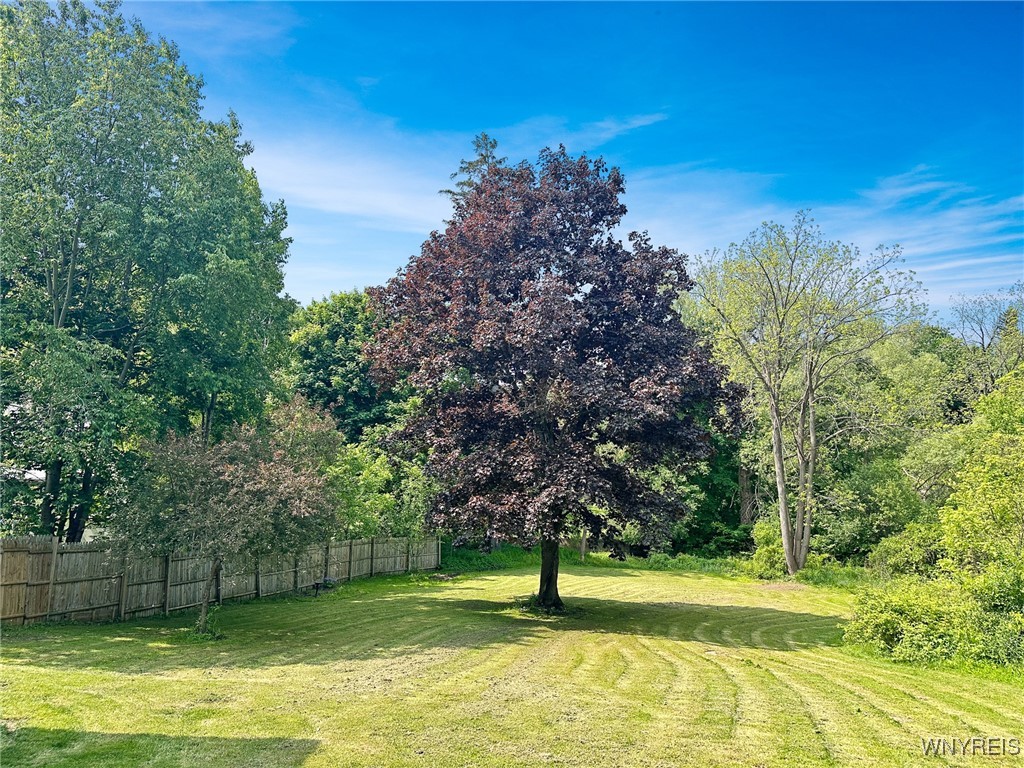 4 Park Road, Castile, New York image 8