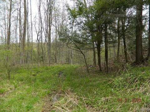Vacant Land For Sale - 9999 Olean Road<br/> Holland, NY 14080